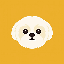Shih Tzu icon